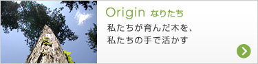 Origin なりたち