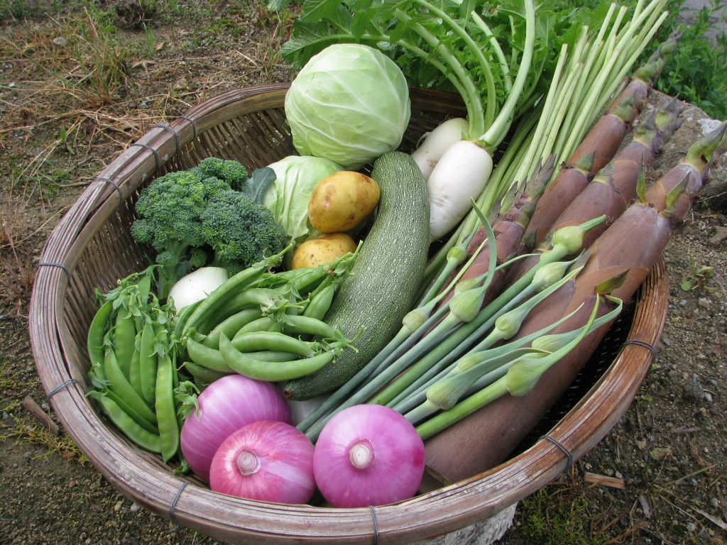 6月のお届け野菜