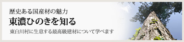 歴史ある国産材の魅力 東濃ひのきを知る